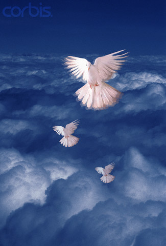 Journey To Freedom