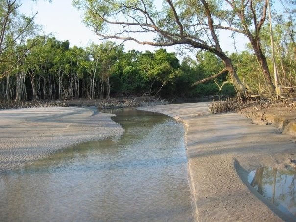 Bangladesh: Nice Scenery