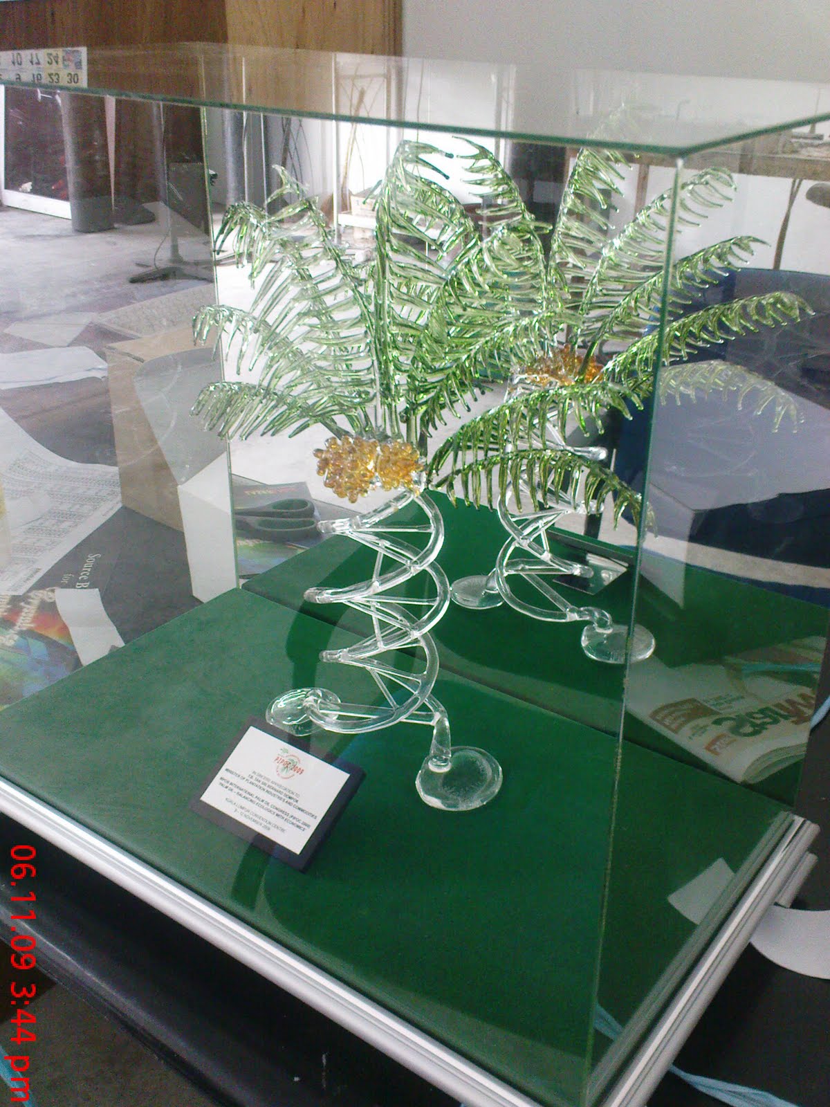 [DSC00335.JPG]