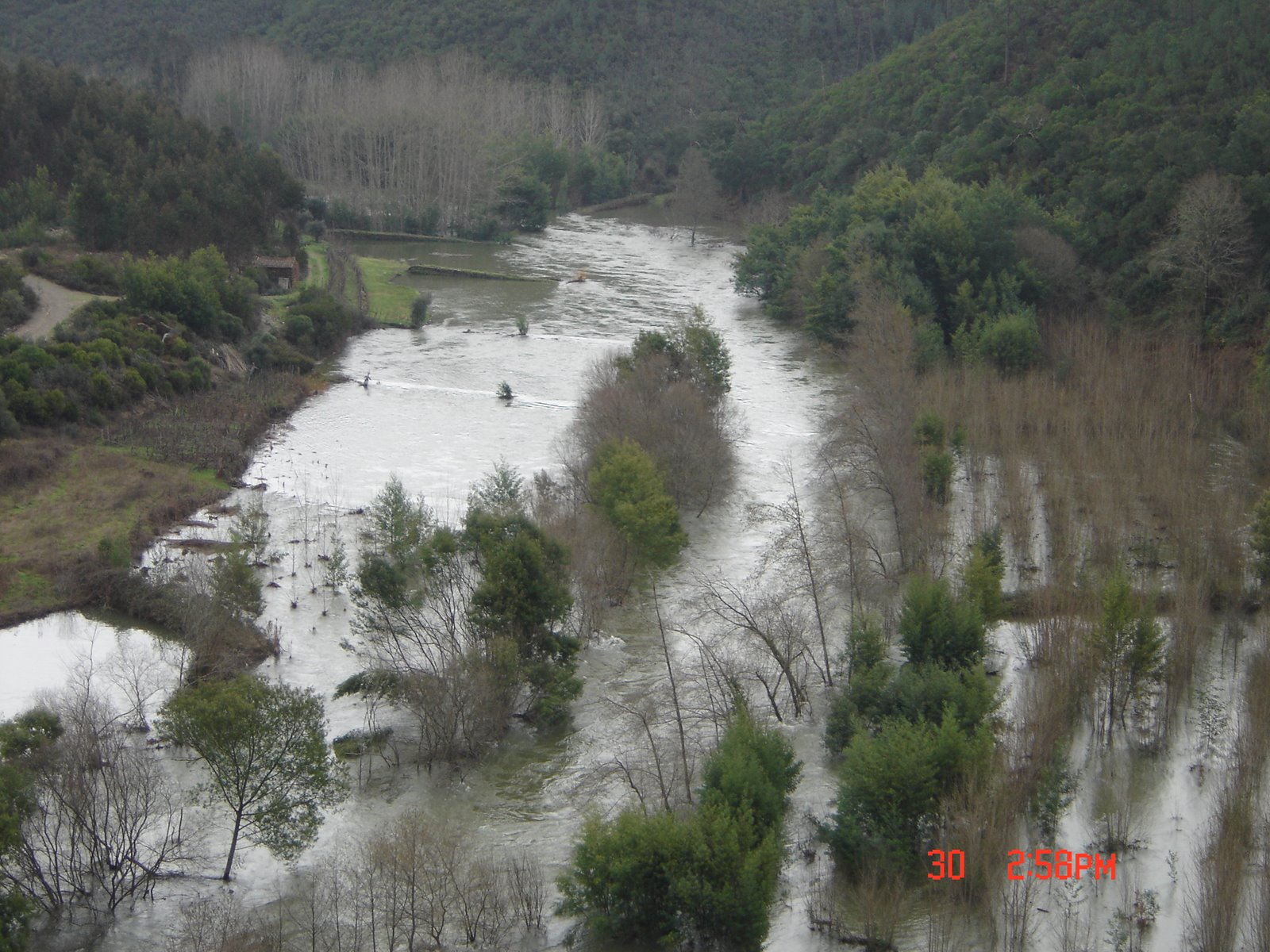 [DSC04462.JPG]