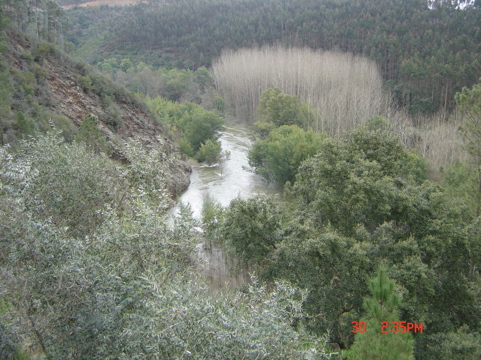 [DSC04439.JPG]