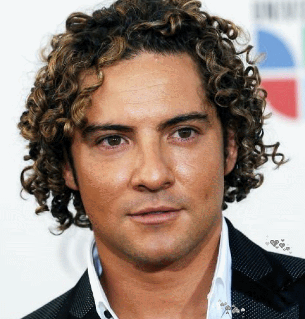 Sintético 9 Foto David Bisbal Lo Mejor De... David Bisbal Alta