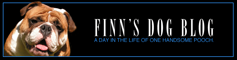 Finn Dog