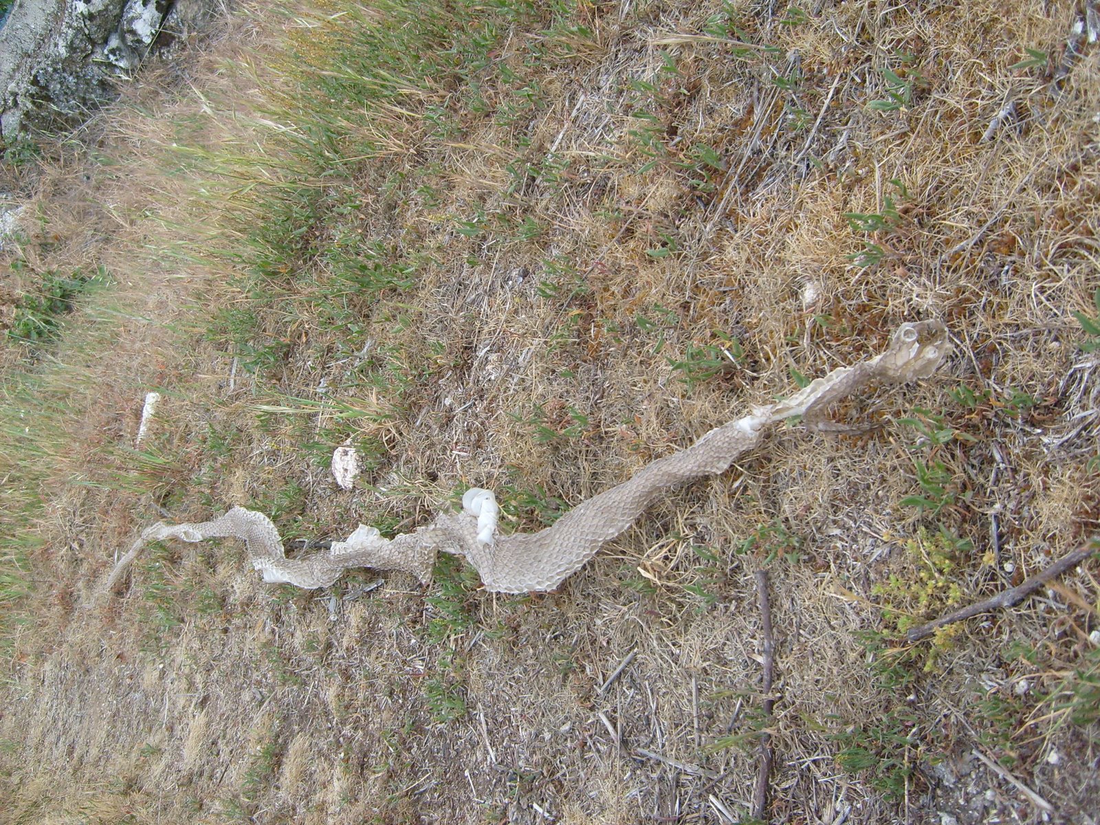 [S6300029.JPG]