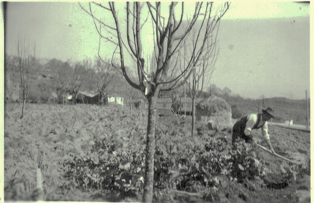 [File0061.jpg]