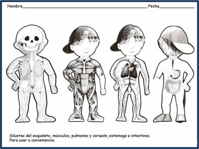 ... EN BLANCO Y NEGRO PARA COLOREAR PARA PRIMER GRADO DE PRIMARIA