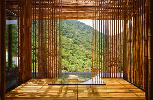[paredes-bambu.jpg]