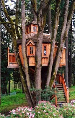 Casa de los árboles
