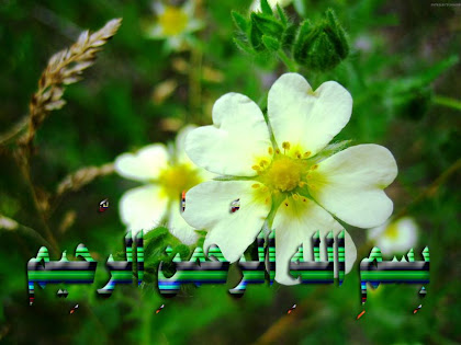 بسماللہ لرحمن الرحیم