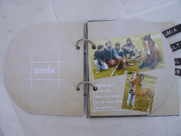 [P1050989.JPG]