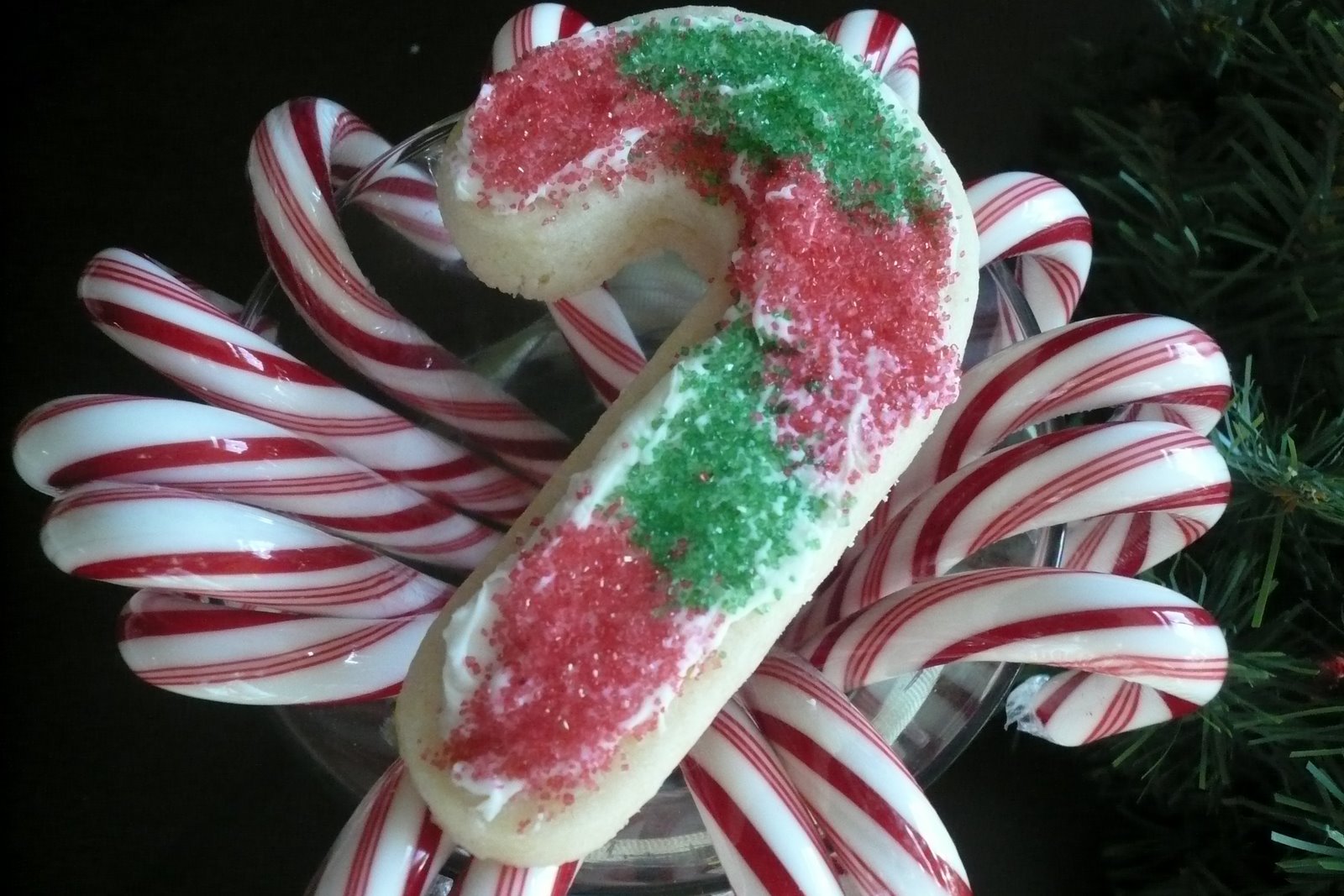 [Christmas+08+006.JPG]