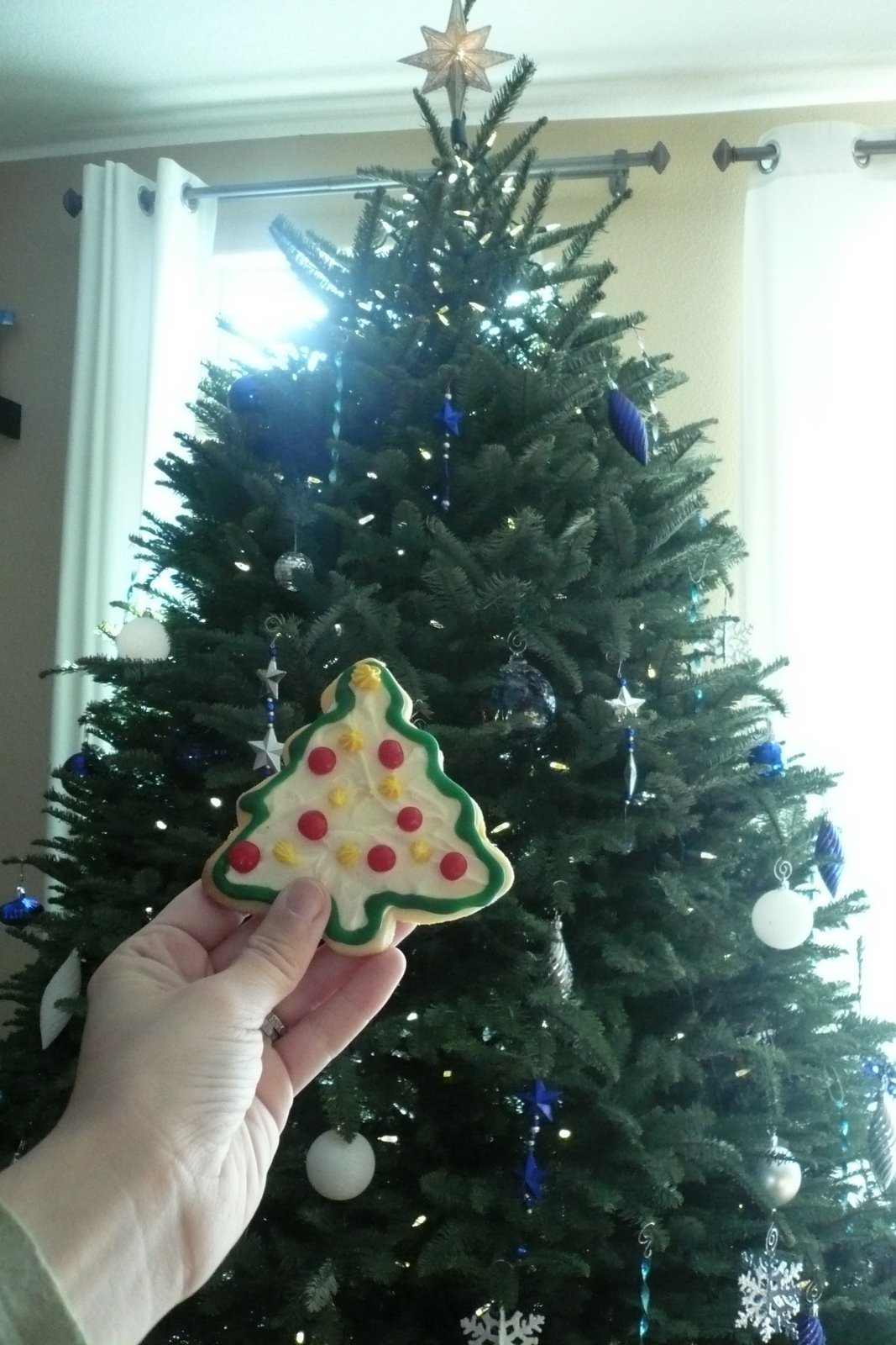 [Christmas+08+007.JPG]