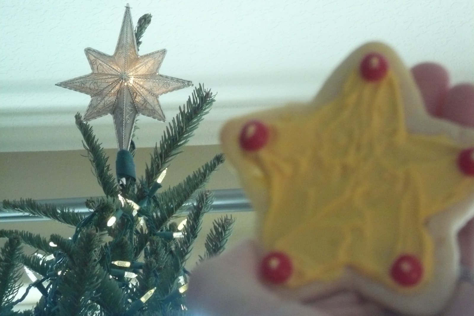 [Christmas+08+012.JPG]