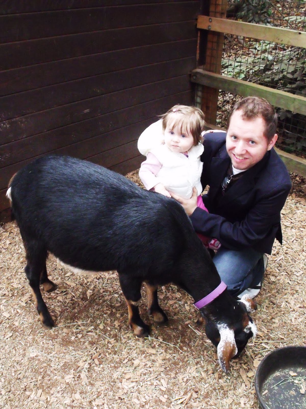 [Seattle+Zoo+014.JPG]