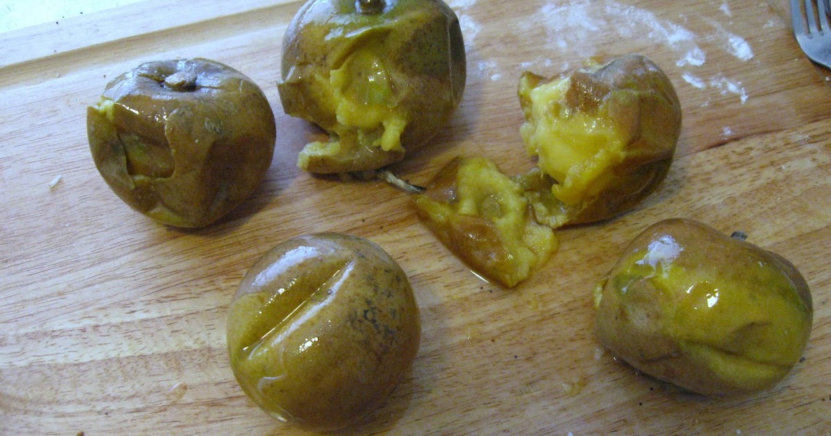 Tinkering with Dinner White sapote ice cream