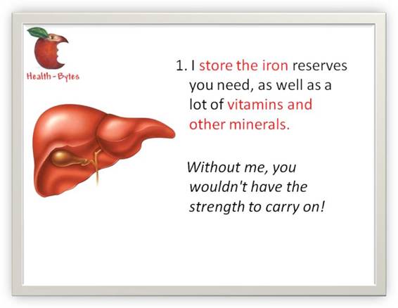 Your silent partner & ever loving lover -- liver Your silent partner & ever loving lover -- liver