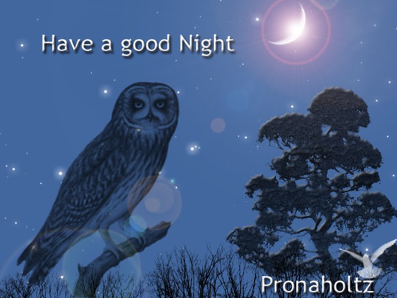 Good night Quotes Good night Quotes