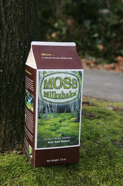 moss milkshake sloat garden center moss milkshake sloat garden center