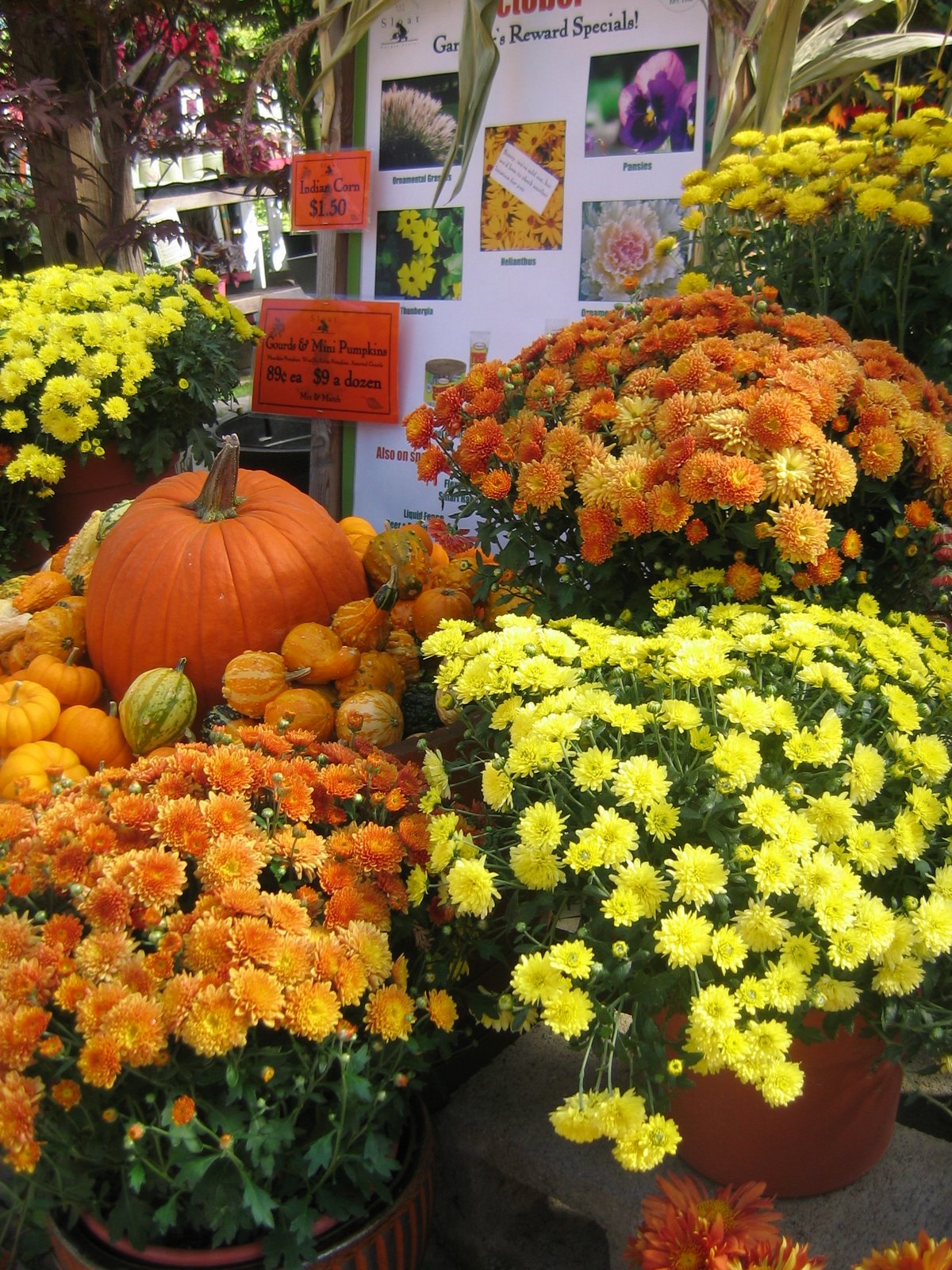[IMG_1210.JPG]