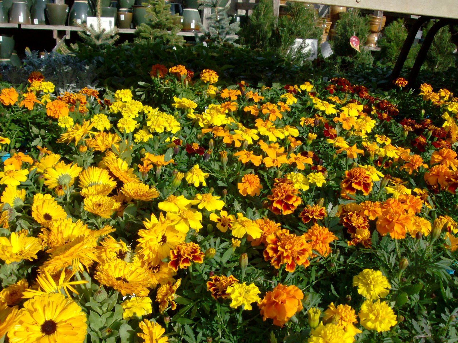 [HPIM0922.JPG]