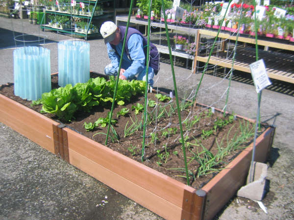 [planters+001.JPG]