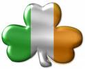 [shamrock2.jpeg]