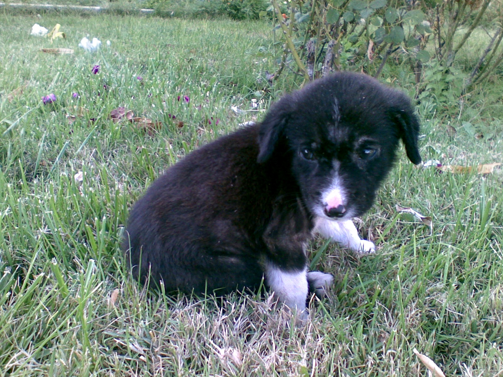 [25092009(016).jpg]