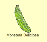 [Picture+9.png]