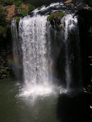 Dangar Falls, Dorrigo NSW