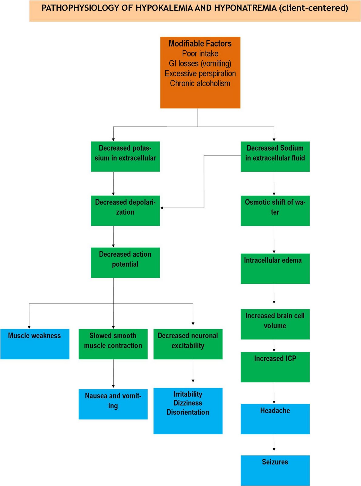 pathophysiology case study Robert l holley, md 2/18/2013 rlholley case studies-utippt 1 case studies in urinary tract infections robert l holley, msc, md professor of obstetrics and gynecology. pathophysiology case study Robert l holley, md 2/18/2013 rlholley case studies-utippt 1 case studies in urinary tract infections robert l holley, msc, md professor of obstetrics and gynecology.