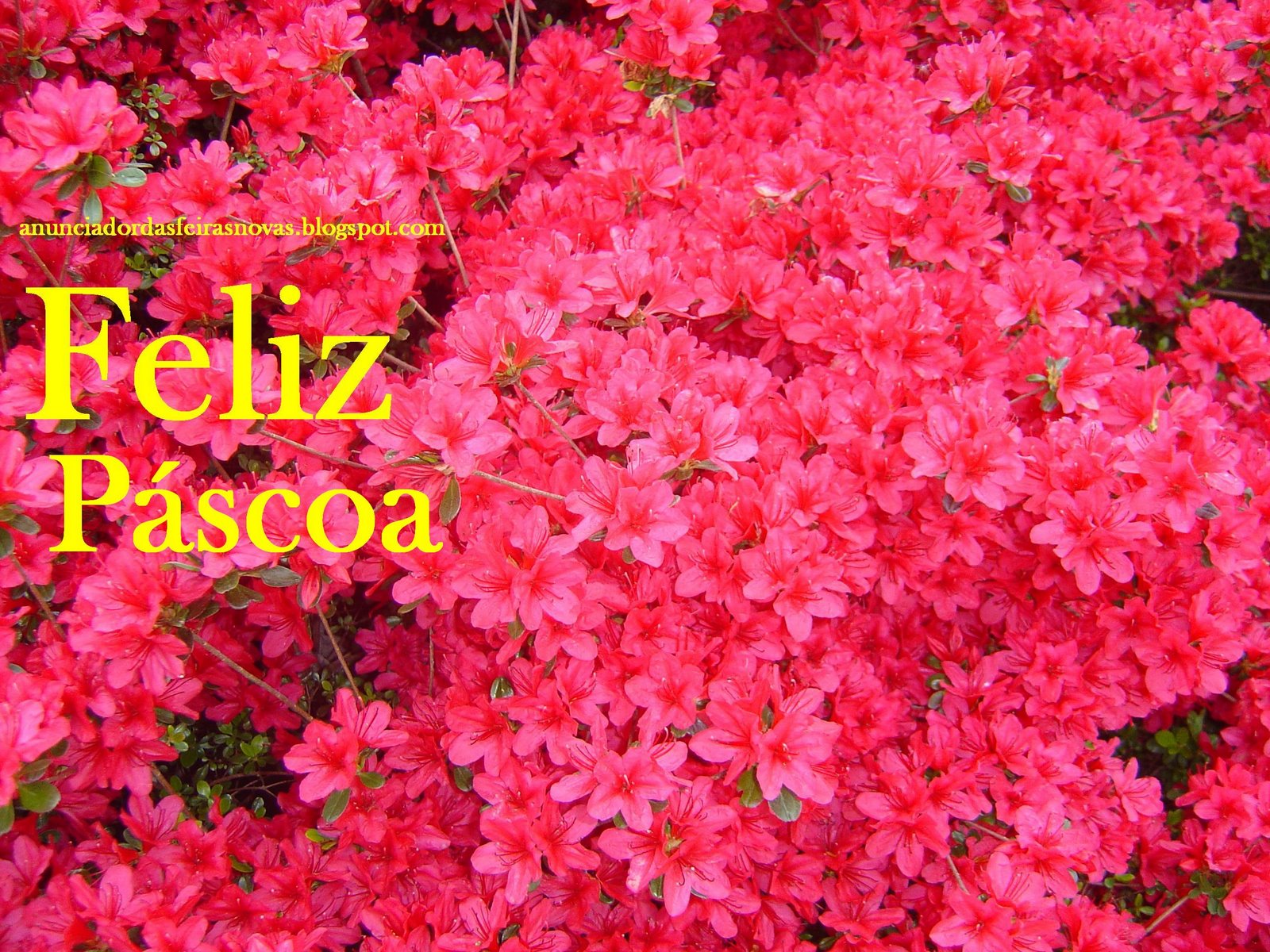 [Blog_pÃ¡scoa_a.jpg]