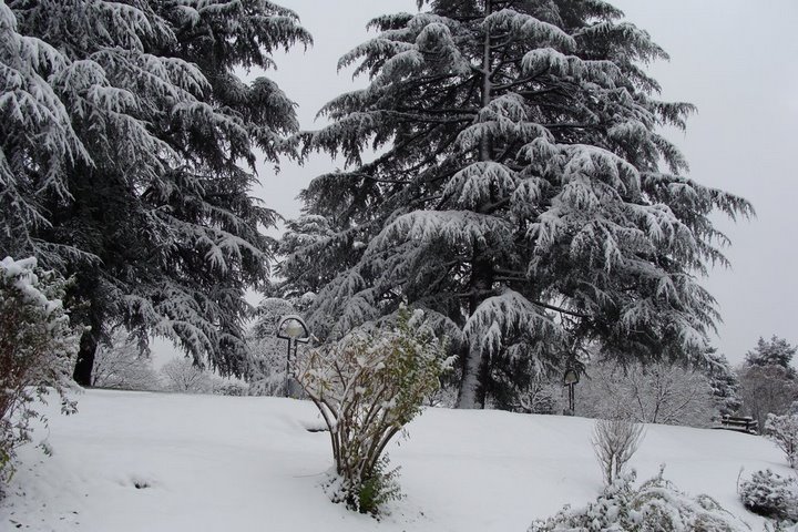 [DSC00167.JPG]