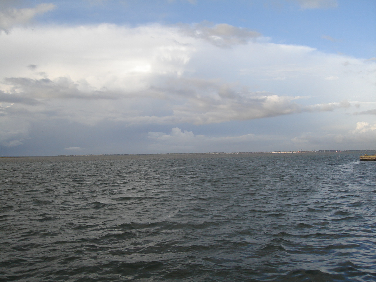 [DSC01130.JPG]
