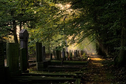 [Graveyard.jpg]