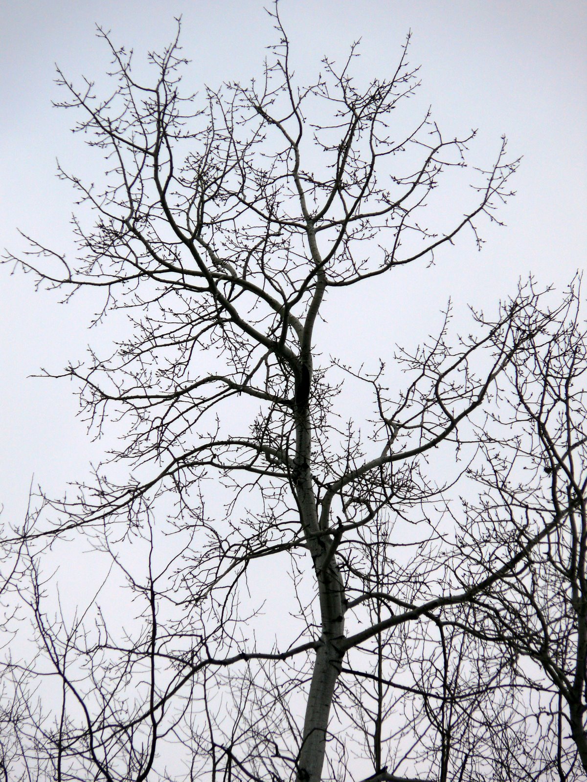 [P1010886.JPG]