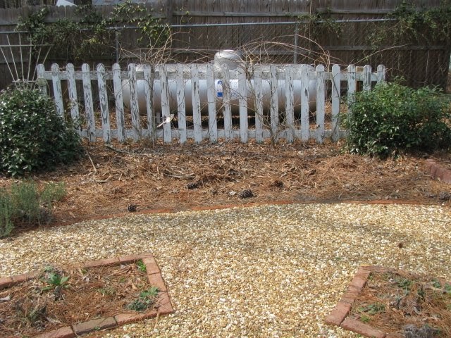 In the Garden: New Planter