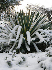 Winter 2010