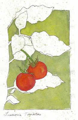 drawing tomatoes