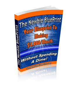 [the+newbie+blueprint+book.jpg]