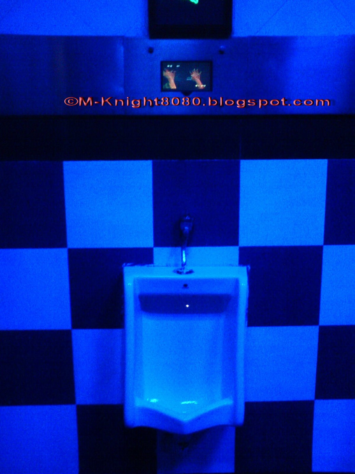 [DSC00701.jpg]