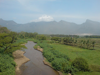 view from train on the way to palakkadu