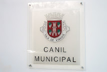 Canil Municipal de Vinhais