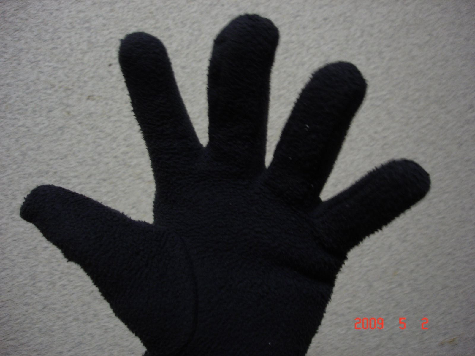 [DSC00883.JPG]