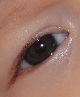 [eyes.JPG]