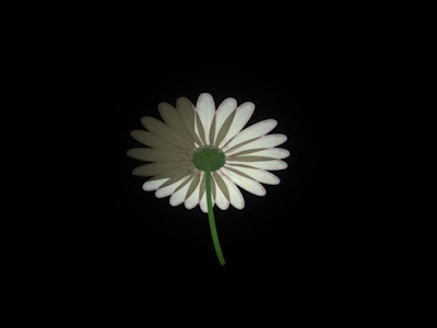 Flower Bottom