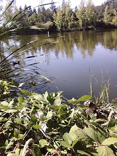 Lake Temescal, Oakland, California Lake Temescal, Oakland, California