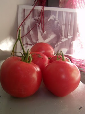 Tomatoes with a passionate kiss Tomatoes with a passionate kiss