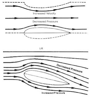 bernoulli principle bernoulli principle