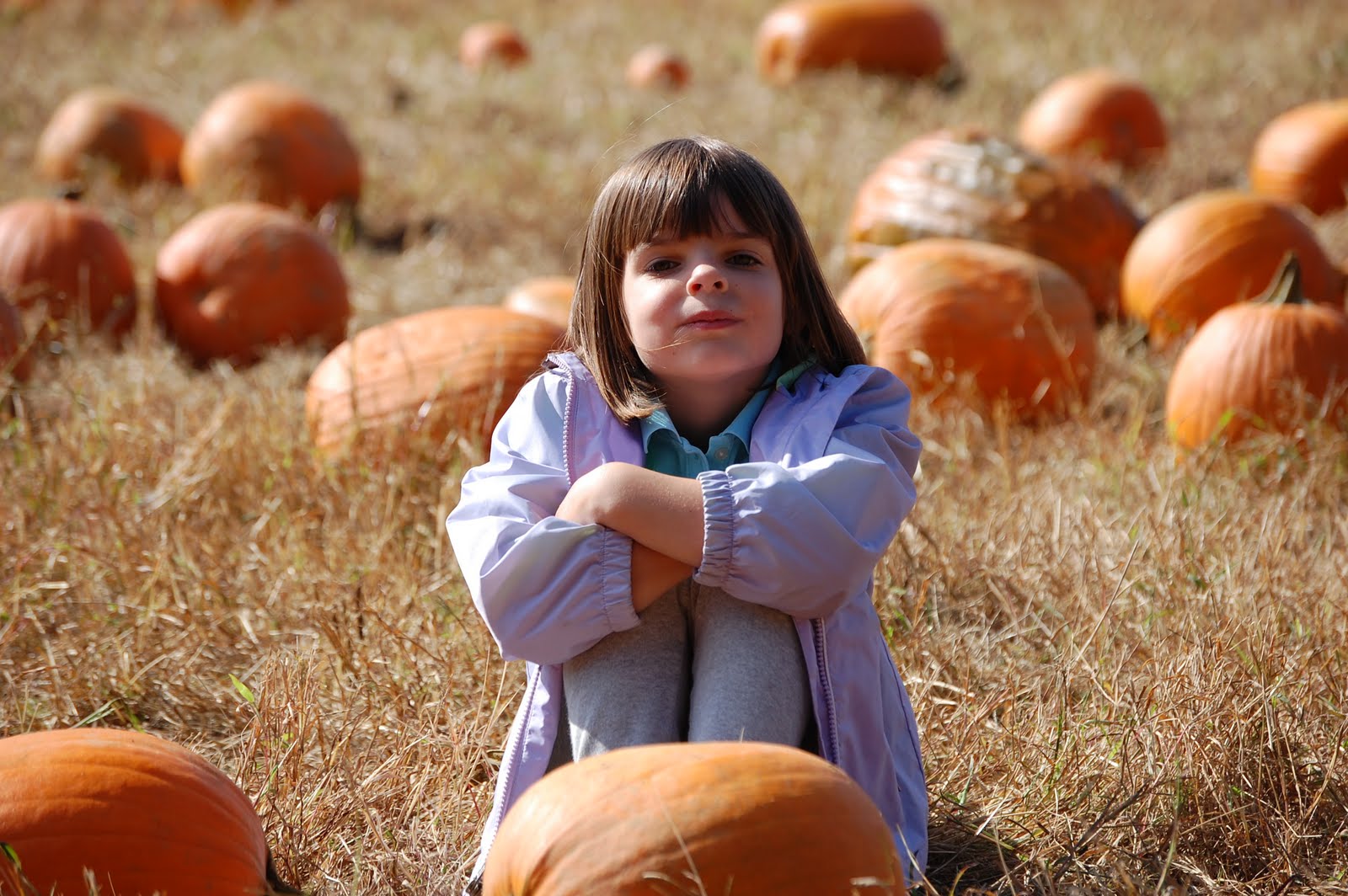 [pumpkin+020.JPG]