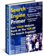 Search Engine Primer eBook